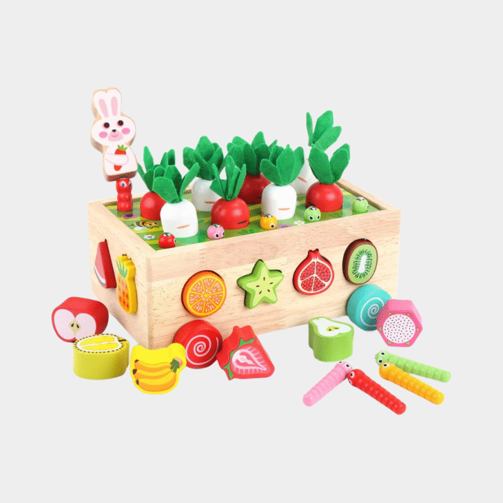 Toddlers Montessori Wooden Educational Toys